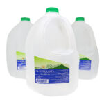 3-pack Spring Water Gallon Jugs